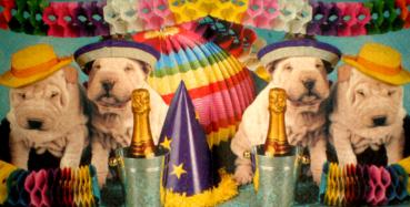 046 Hunde - 3-lagig